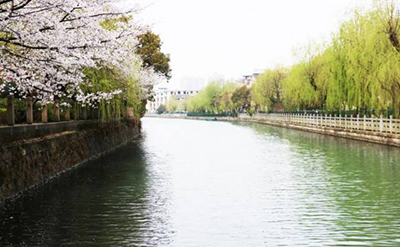 timg (5).jpg 河道治理案例 River management case